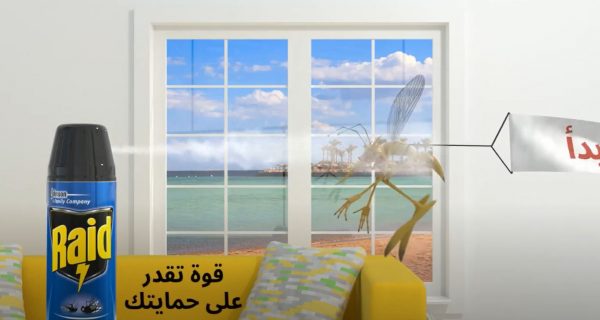 Raid – Egypt Social Media Post